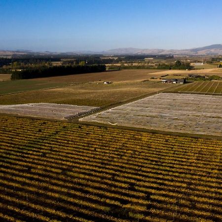 Romantic Vineyard Getaway Waipara エクステリア 写真
