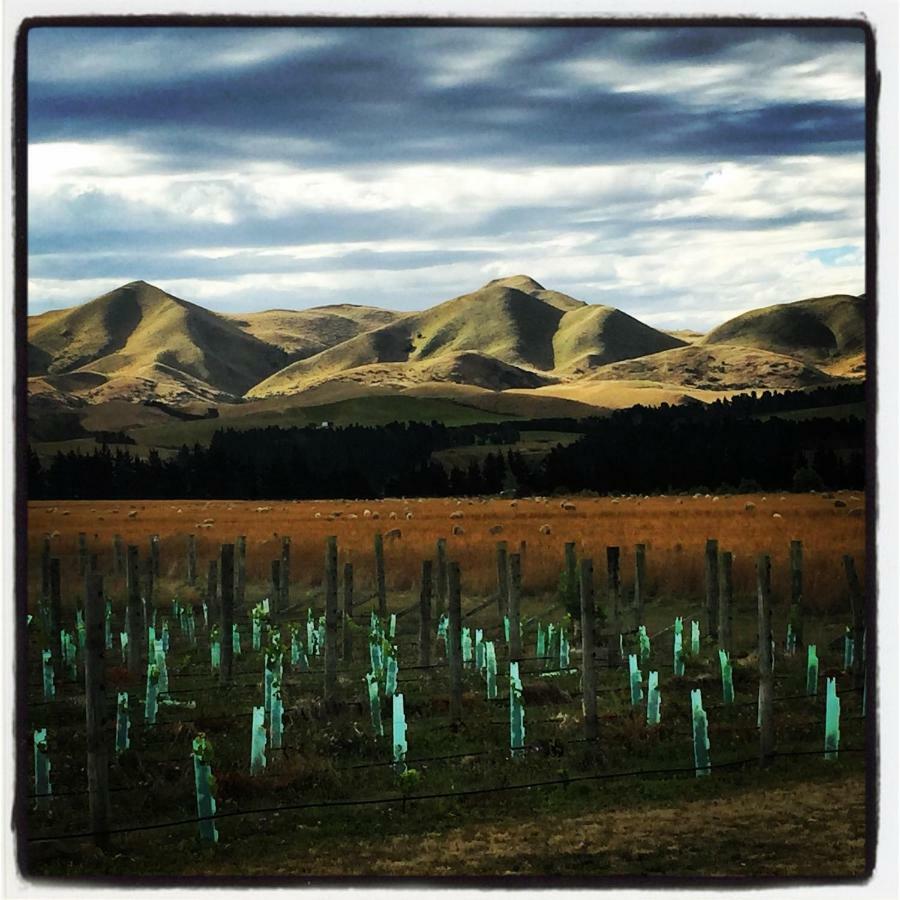 Romantic Vineyard Getaway Waipara エクステリア 写真