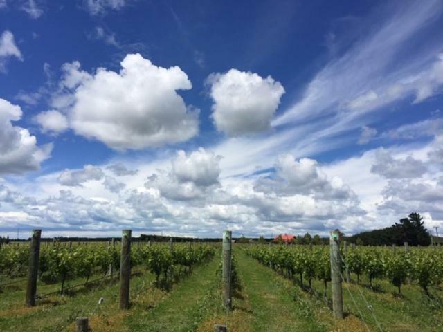 Romantic Vineyard Getaway Waipara エクステリア 写真