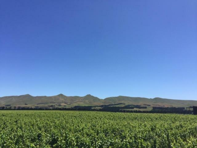 Romantic Vineyard Getaway Waipara エクステリア 写真