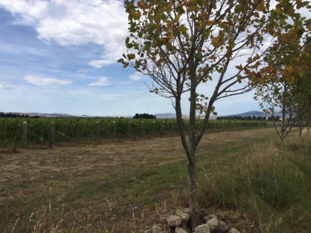 Romantic Vineyard Getaway Waipara エクステリア 写真